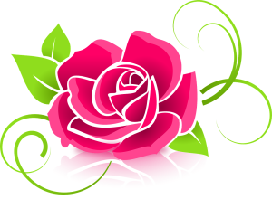 rose, flower, petals-398576.jpg